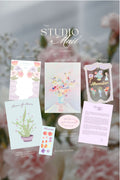 The Studio Mail Plus